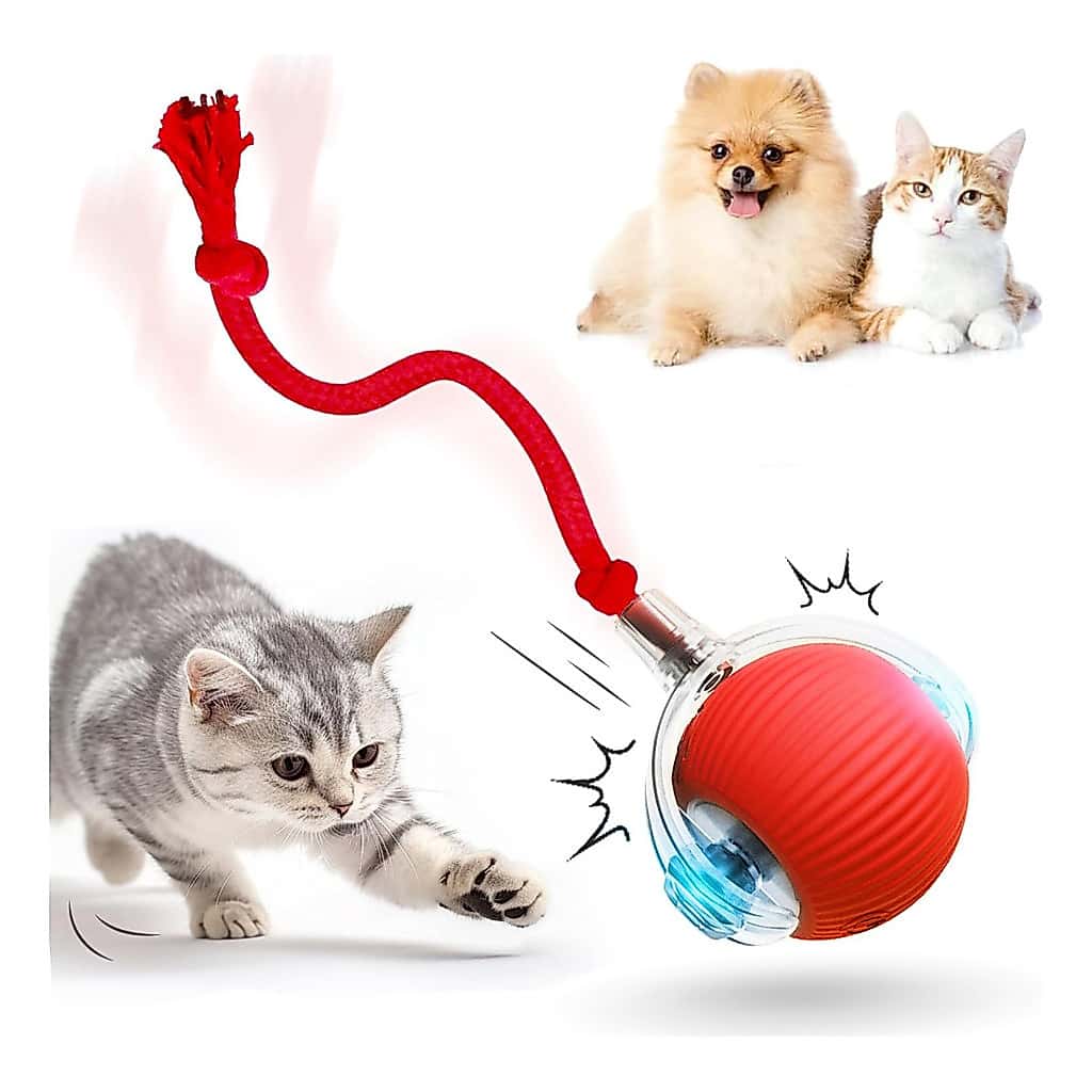 Bola Brinquedos com Cauda De Rolamento Automático  Do Falso Recarregável Bola Inteligente Gato Interativo, imagem 1 de 1