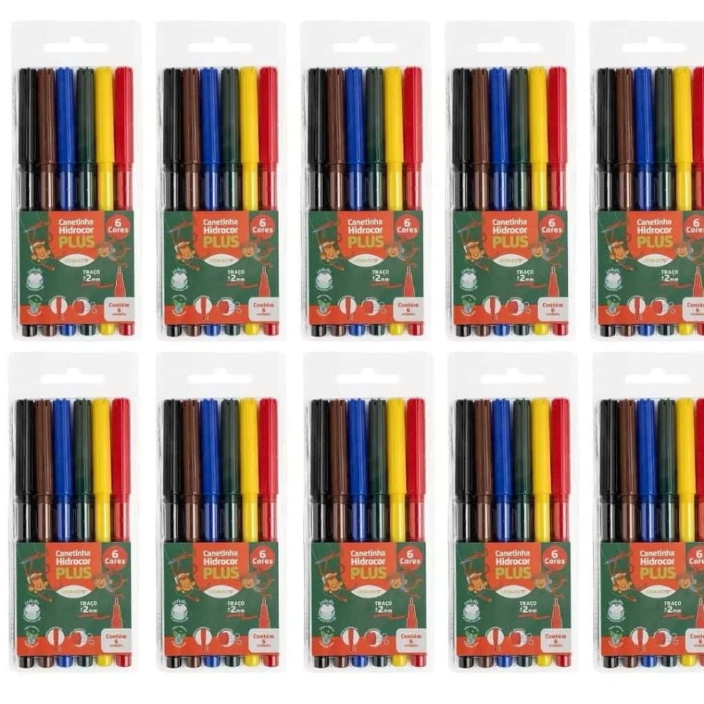 Kit Canetinha Hidrocor 6 Cores Lavável Infantil Escolar Estojo Lembrancinha Festa, imagem 1 de 1