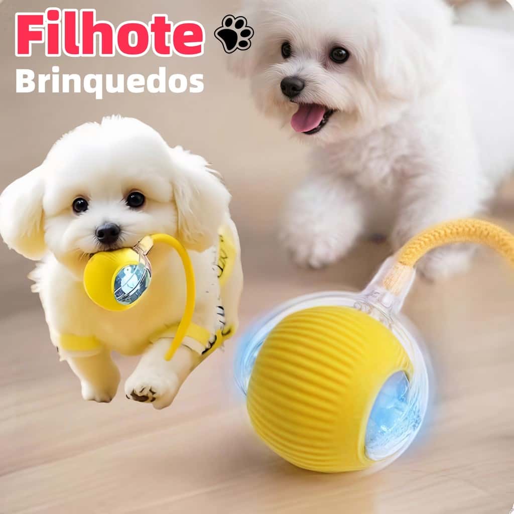 Bola de rolamento automática, brinquedo interativo para filhotes, treinamento elétrico para cães, imagem 1 de 1