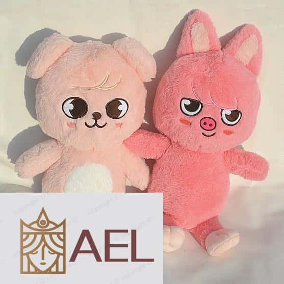 50cm Kpop Idol Stray Kids Skzoo FM JINRET BBOKARI Brinquedo De Pelúcia SKZ BANGCHAN FELIX Boneca Presentes, imagem 1 de 1
